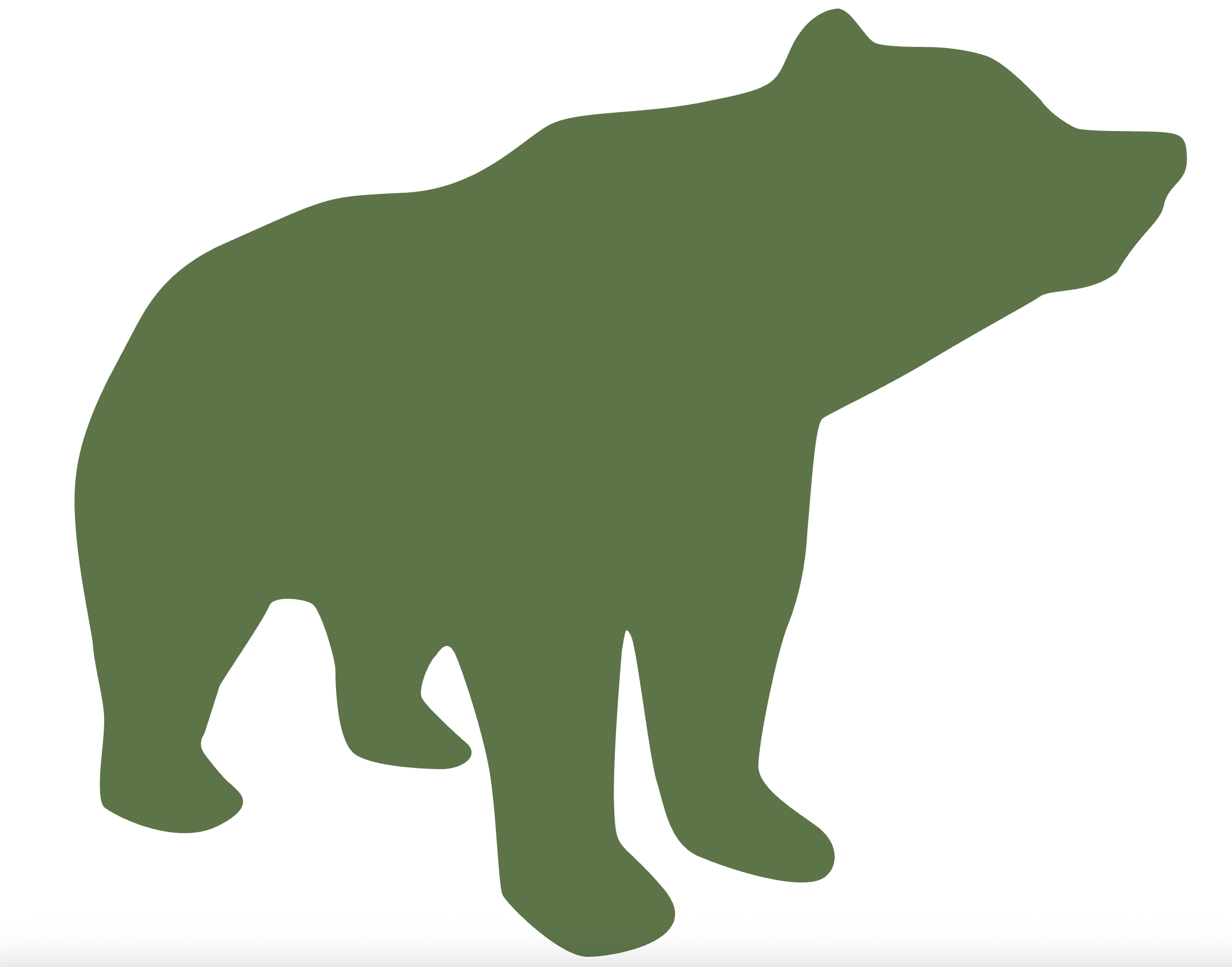 A Smart Bear
